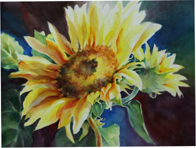 Yes! The Sunflower Revisited